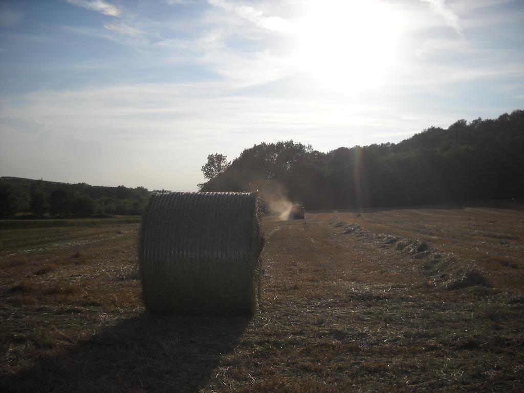 Agriturismo Cascina Monchiero บรา ภายนอก รูปภาพ